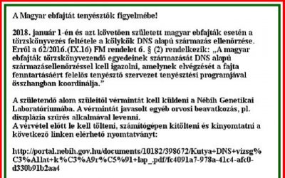 DNS mintavétel tájékoztatók