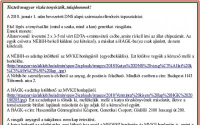 DNS származás ellenőrzése