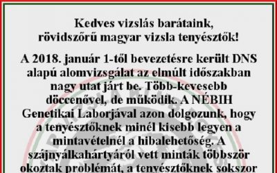 DNS alapú alomvizsgálat