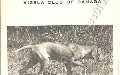 1st National Field Trial Kanada 1964