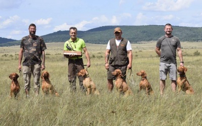Véget ért az idei Magyar Vizsla Klubok Európa Kupájára történő válogató sorozat