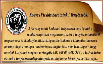Tenyésztésbe vétel a járványhelyzet alatt