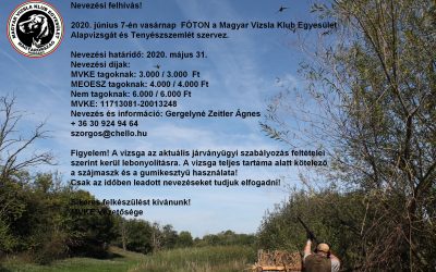 Tenyészszemle és Alapvizsga Fóton