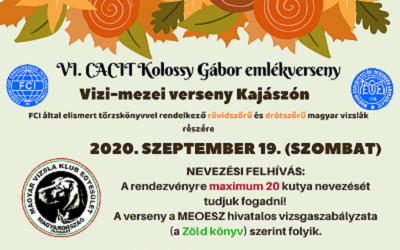 VI. CACIT Kolossy Gábor emlékverseny nevezési felhívás – 2020.09.19.