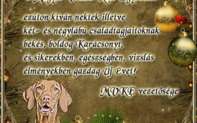 Békés, boldog Karácsonyt és sikerekben gazdag Új Évet!