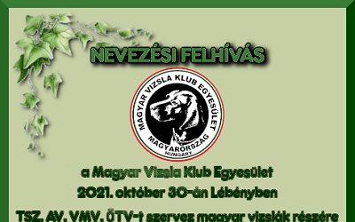 Nevezési felhívás 2021. 10. 30. Lebény