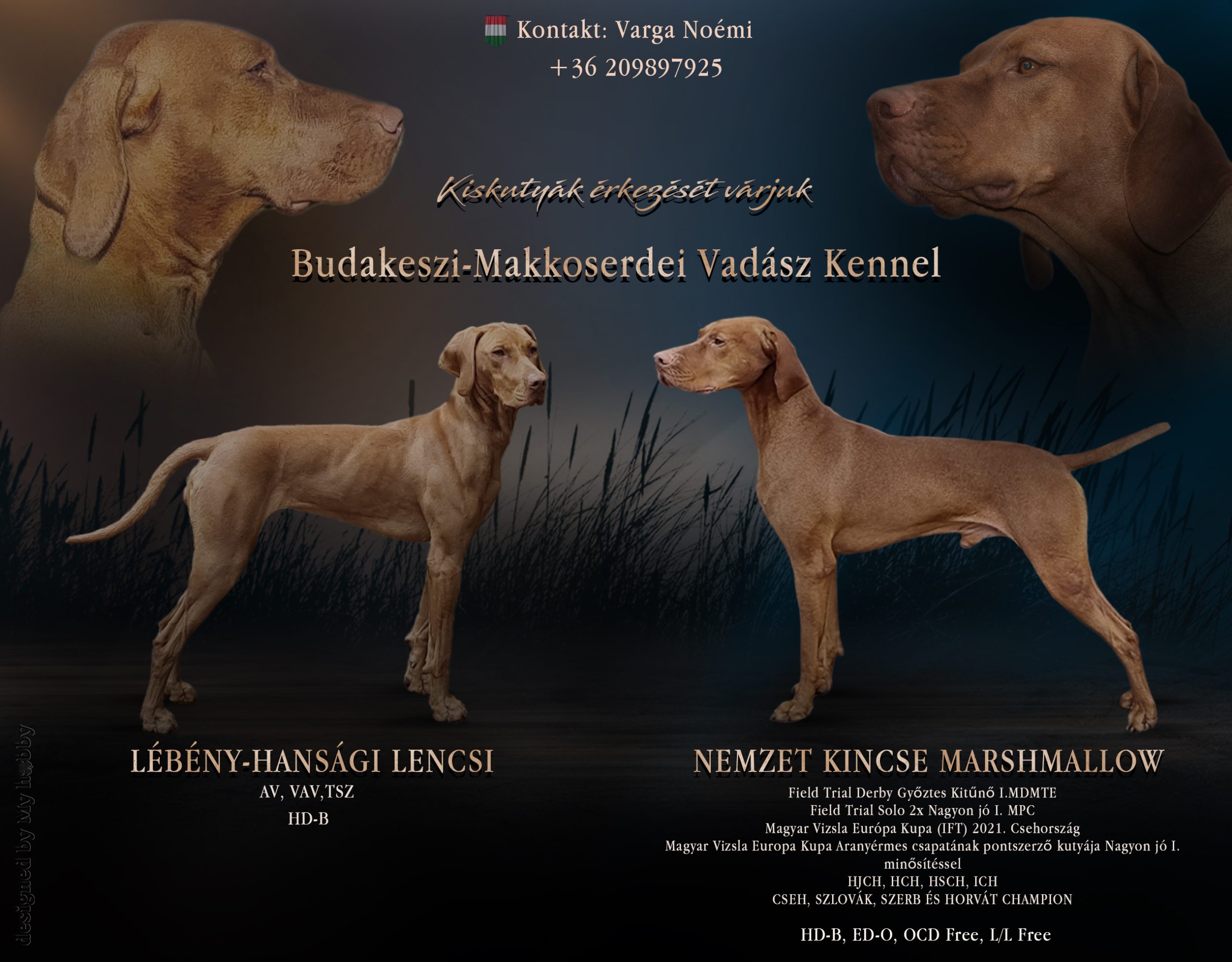 varga noemi allo advert valtozat
