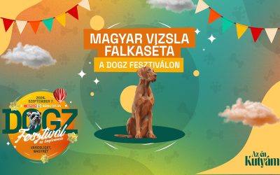 Vizsla Falkaséta