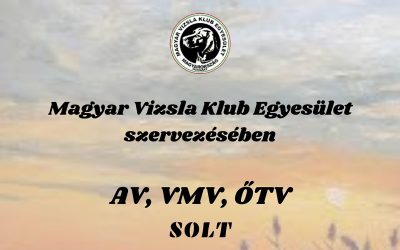 Nevezési felhívás – Solt – AV, VMV, ŐTV