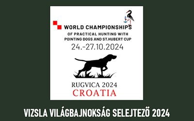 Vizsla Világbajnokság 2024 selejtező