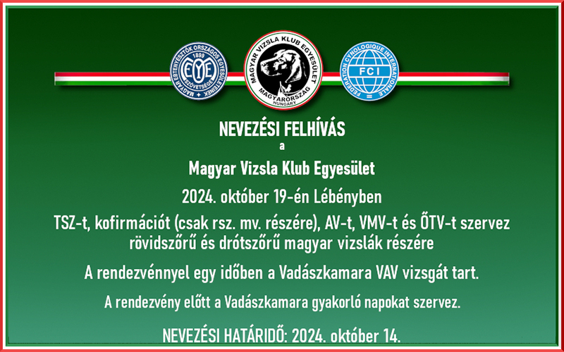 Nevezési felhívás – Lébény