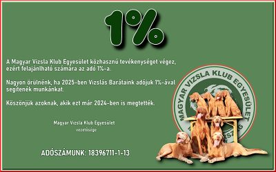 Segítheted egyesületünk munkáját adód 1%-val!