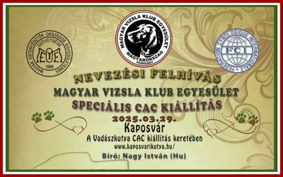 Nevezési felhívás – Speciális CAC kiállítás