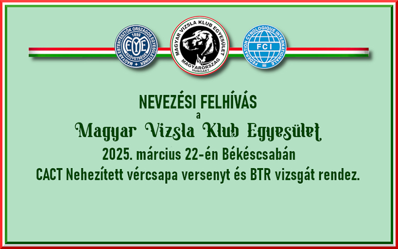 Nevezési felhívás – Békéscsaba NVCS-BTR