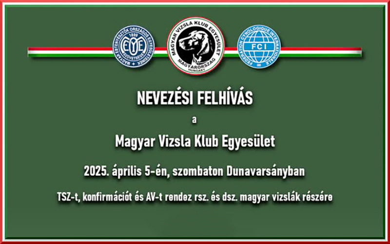 Nevezési felhívás – Dunavarsány