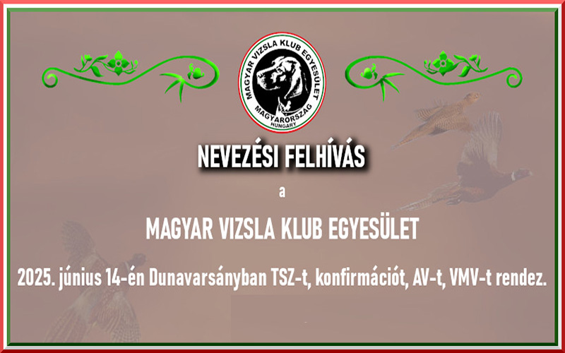 Nevezési felhívás – Dunavarsány