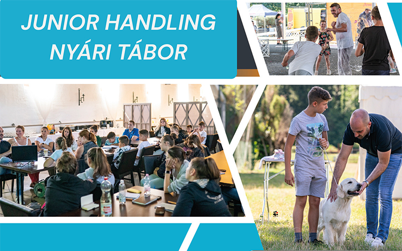 Junior handling nyári tábor