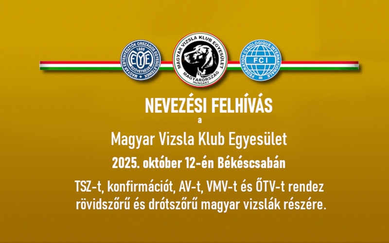 Nevezési felhívás – Békéscsaba vizsgák