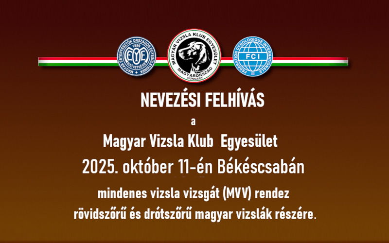 Nevezési felhívás – Békéscsaba MVV