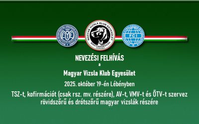 Nevezési felhívás – Lébény