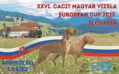 Nevezési felhívás – EC válogató