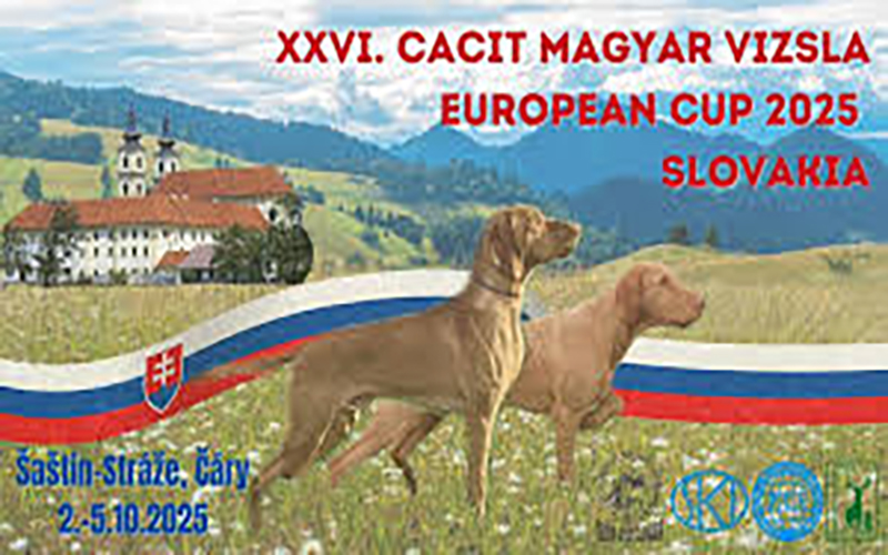 Nevezési felhívás – EC válogató