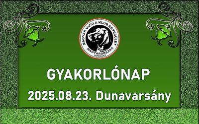EC gyakorlónap – Dunavarsány