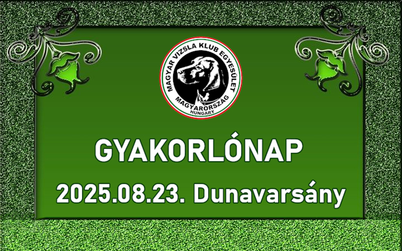 EC gyakorlónap – Dunavarsány